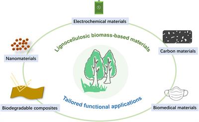 Editorial: Lignocellulosic biomass-based materials: Design, fabrication, and applications